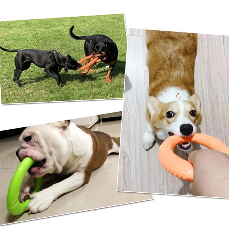 Flying Disk Chew Toy