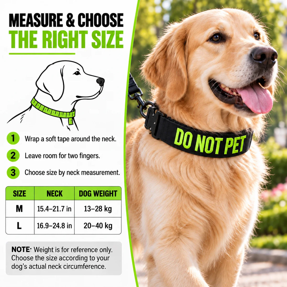 Custom Name & Phone Embroidered Heavy Duty Dog Collar