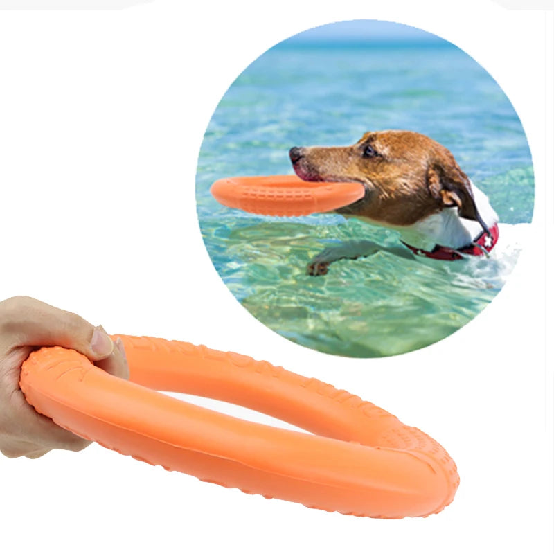 Flying Disk Chew Toy