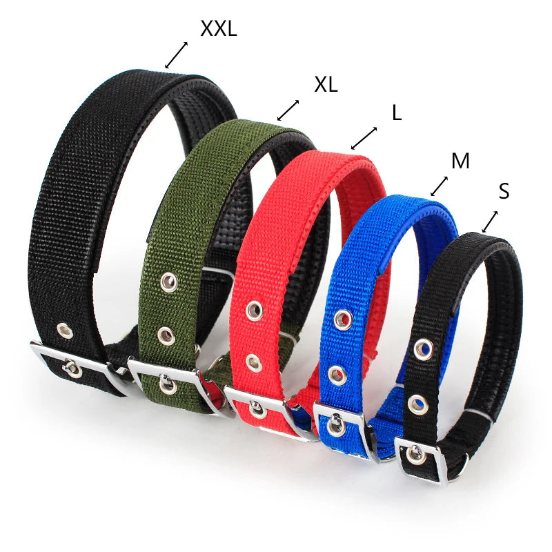 Adjustable Nylon Dog Collar