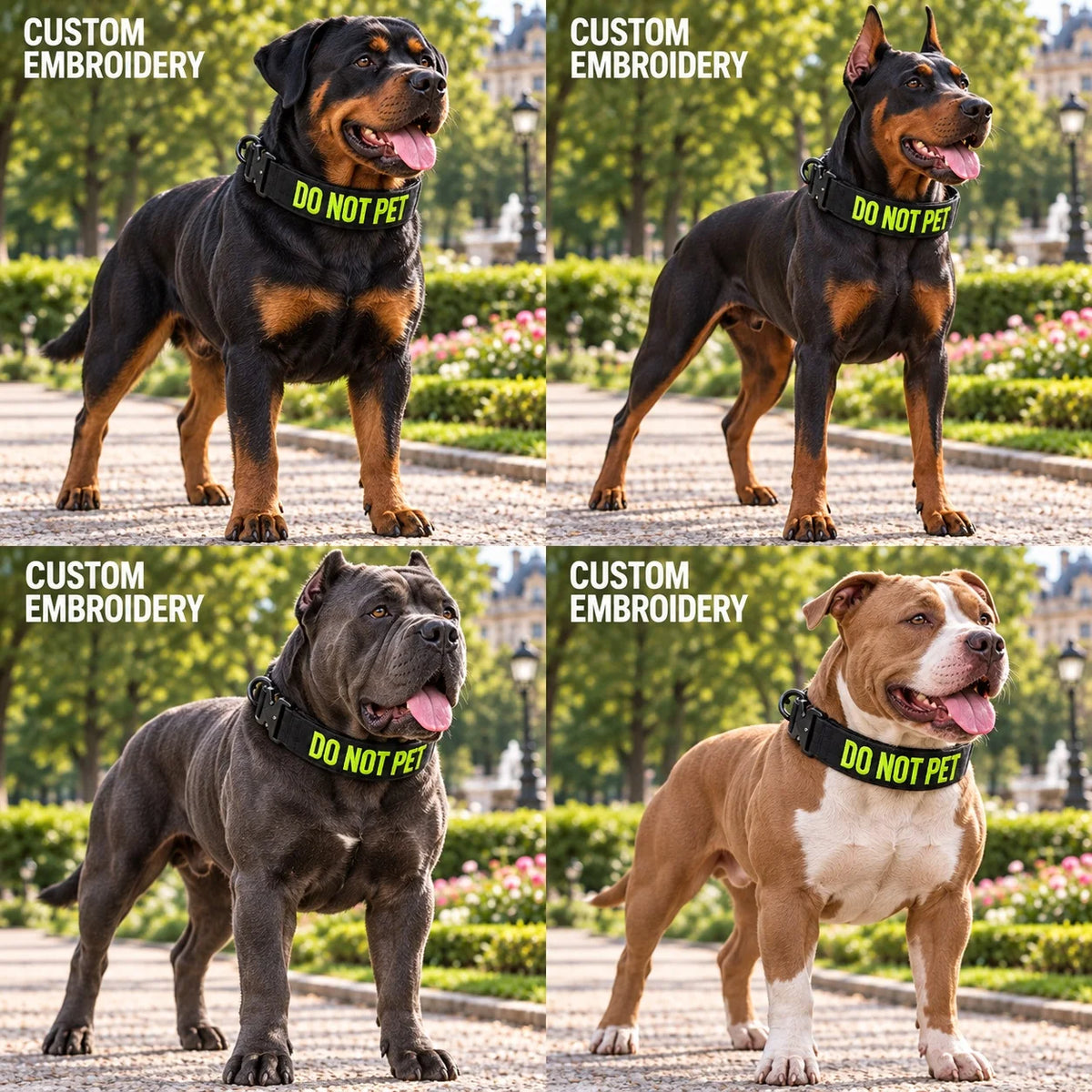 Custom Name & Phone Embroidered Heavy Duty Dog Collar