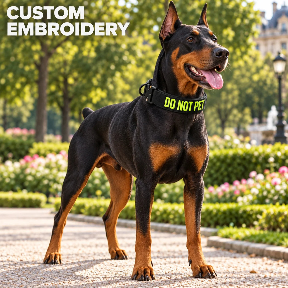 Custom Name & Phone Embroidered Heavy Duty Dog Collar