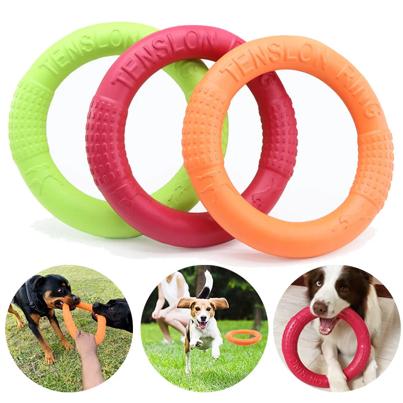 Flying Disk Chew Toy