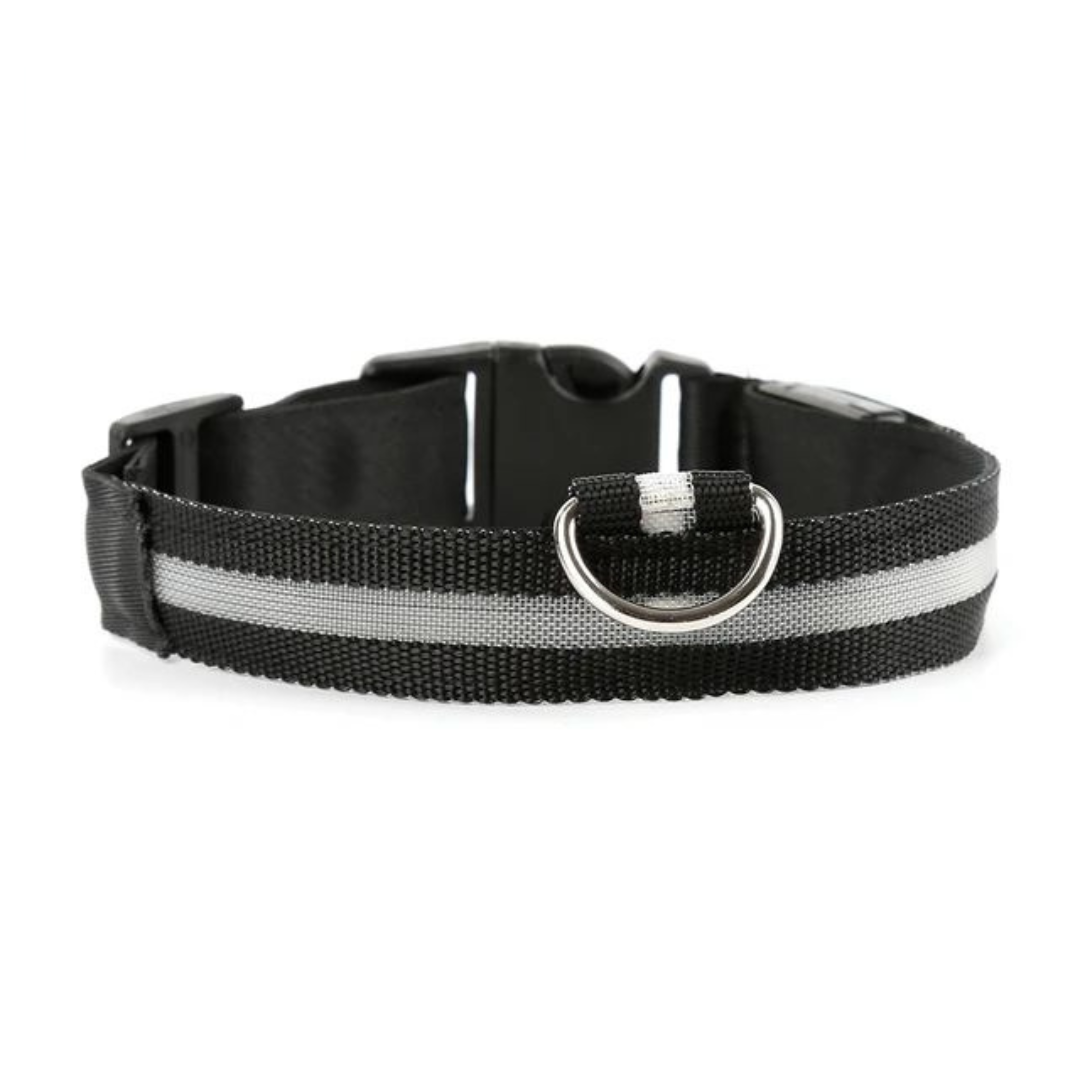 LED Glowing Dog Collar