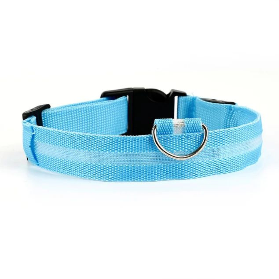 LED Glowing Dog Collar