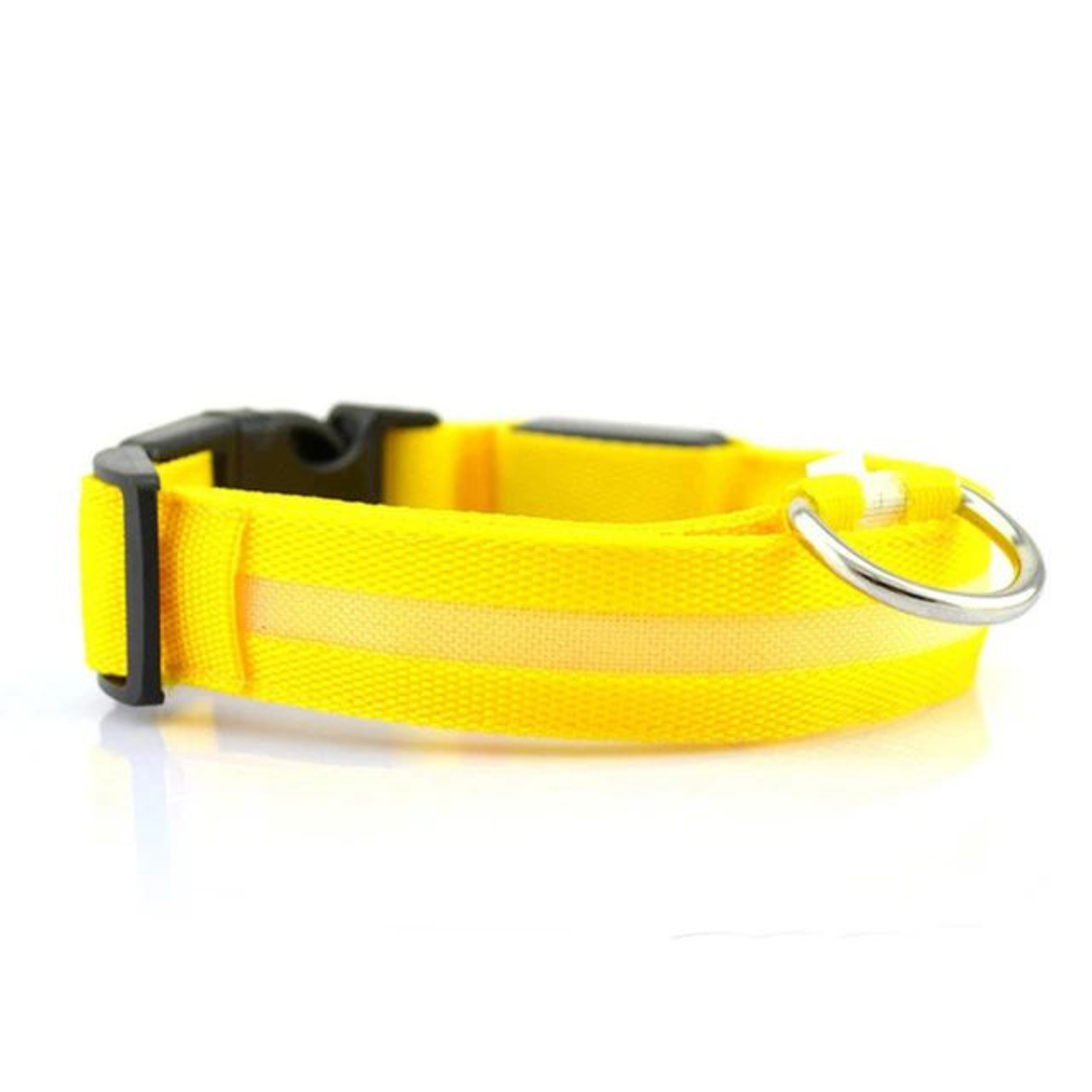 LED Glowing Dog Collar