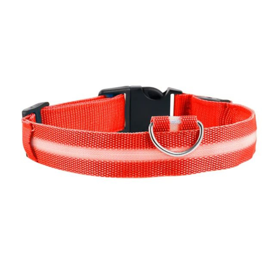 LED Glowing Dog Collar