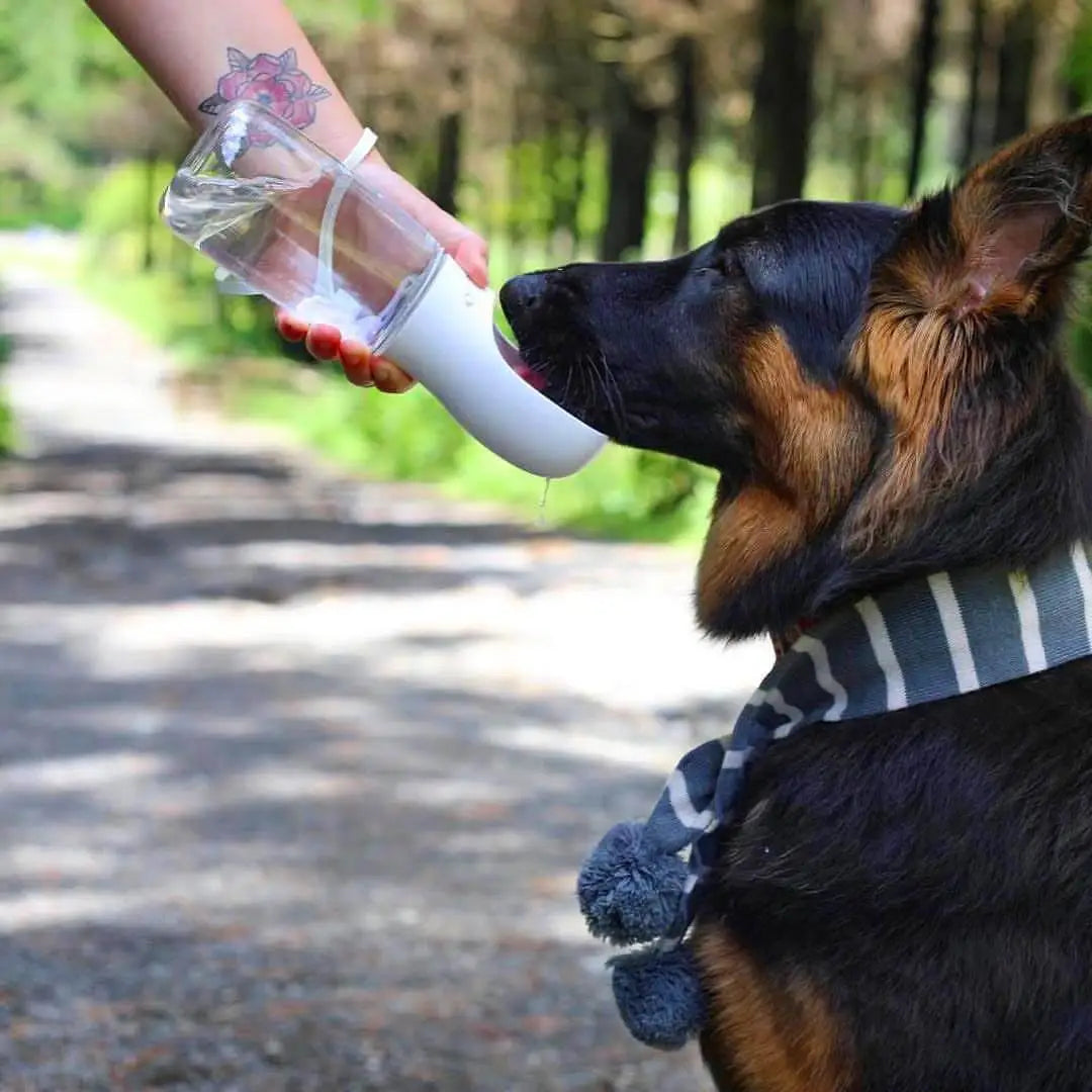 Leakproof Dog Water Bottle