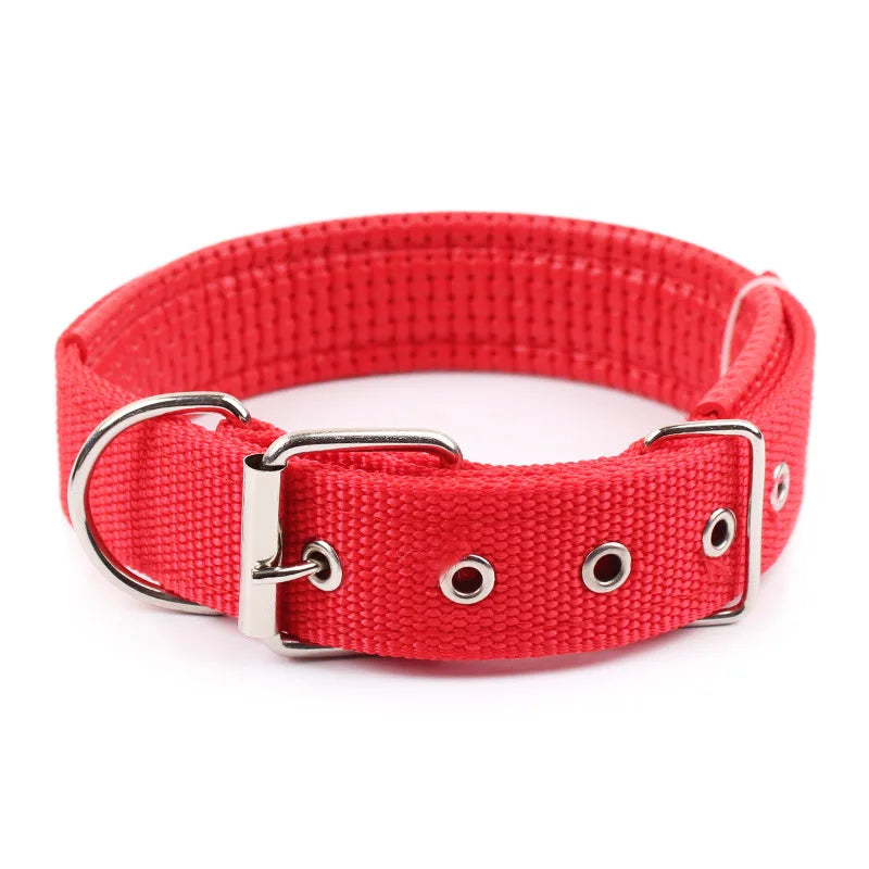 Adjustable Nylon Dog Collar