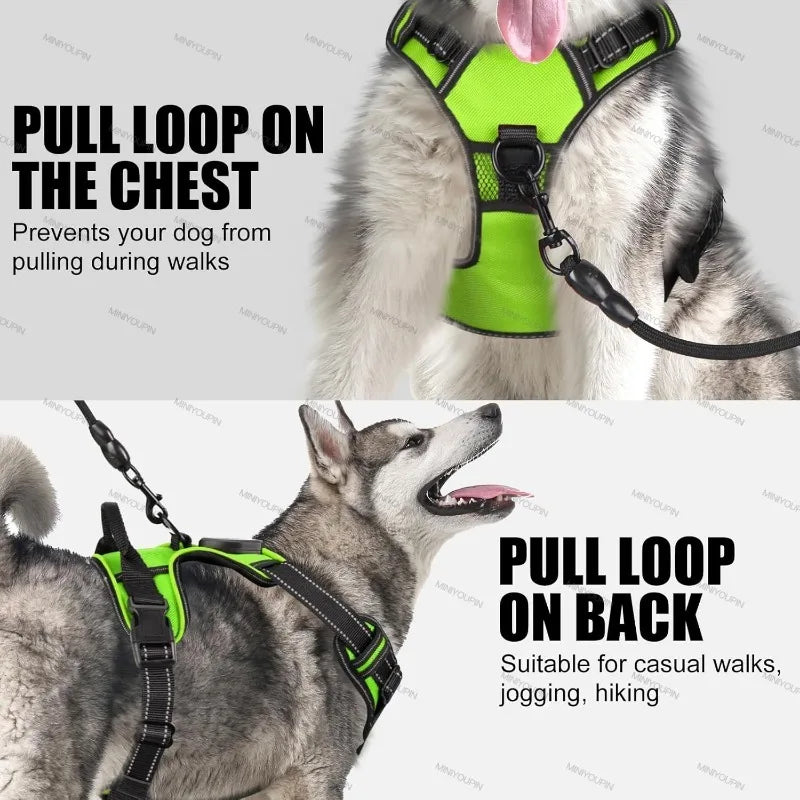 LED Dog Harness