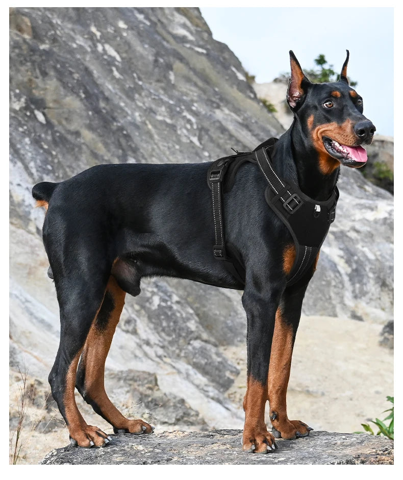 Reflective Heavy Duty Dog Harness
